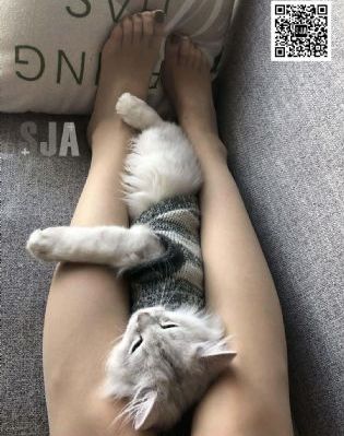 美女视频黄网站_720影视在线观看